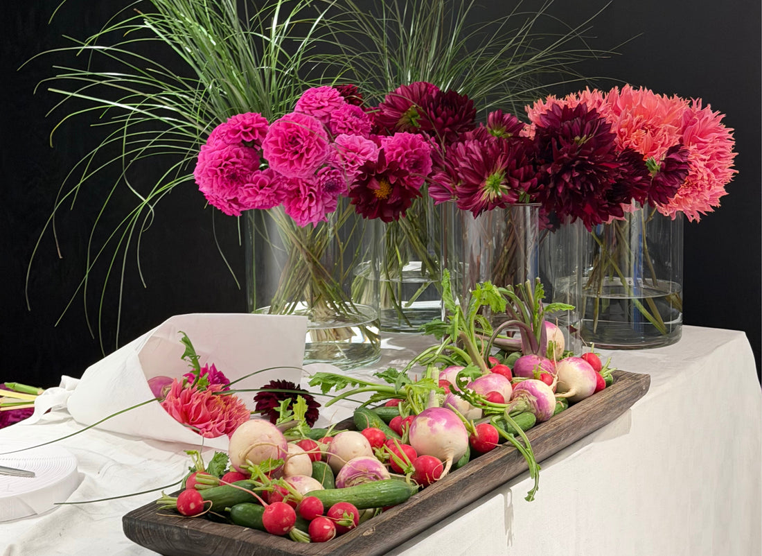 Rooted in Connection