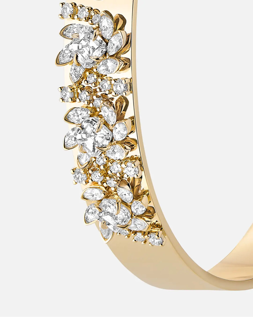 The Botanical Dreamer